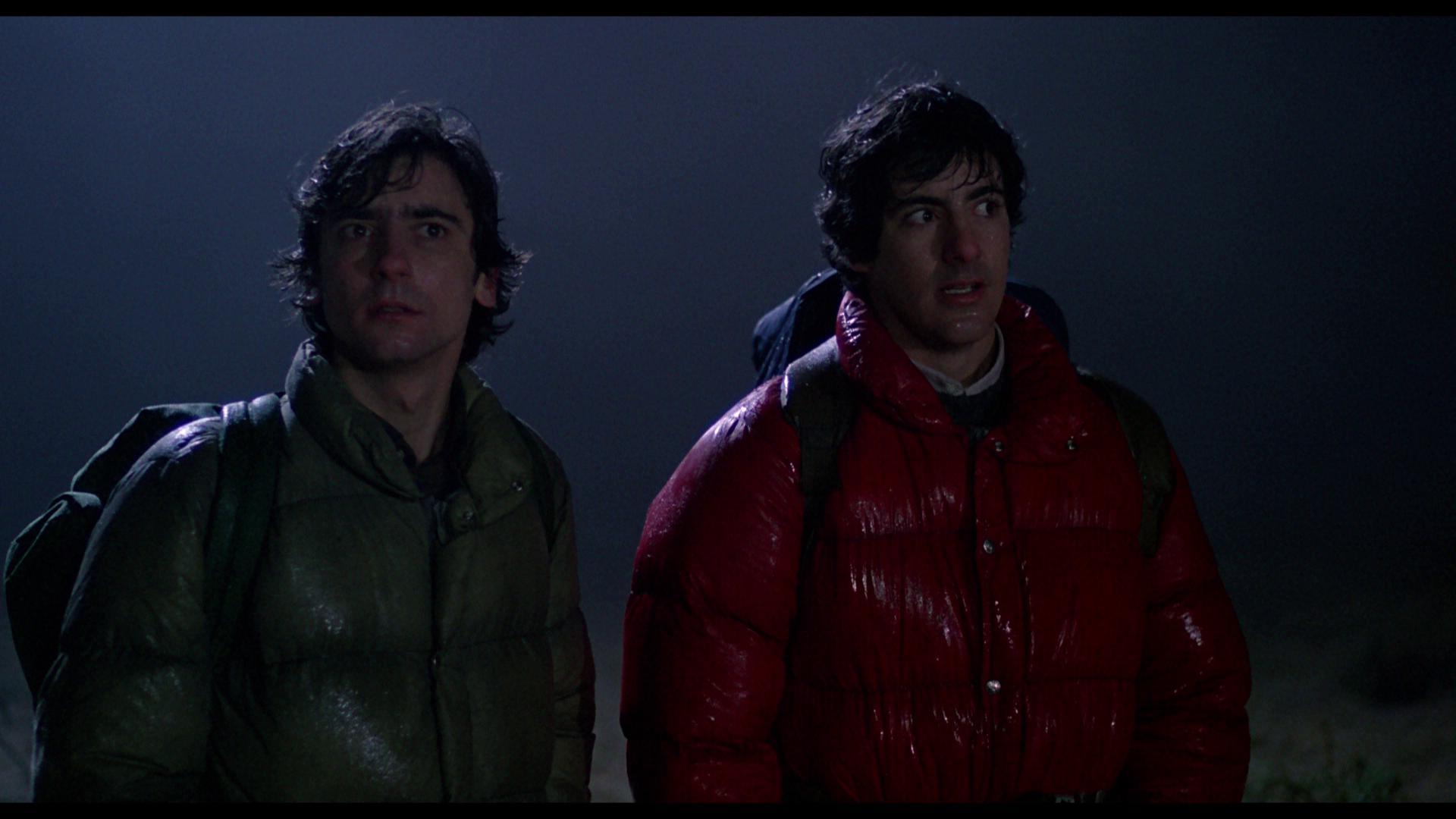 Image result for american werewolf in london